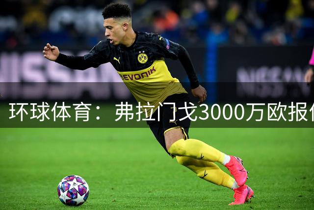环球体育：弗拉门戈3000万欧报价路易斯-恩里克
